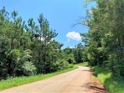 Photo of 558 County Road 4101, Jacksonville, TX 75766 (MLS # 56956659)