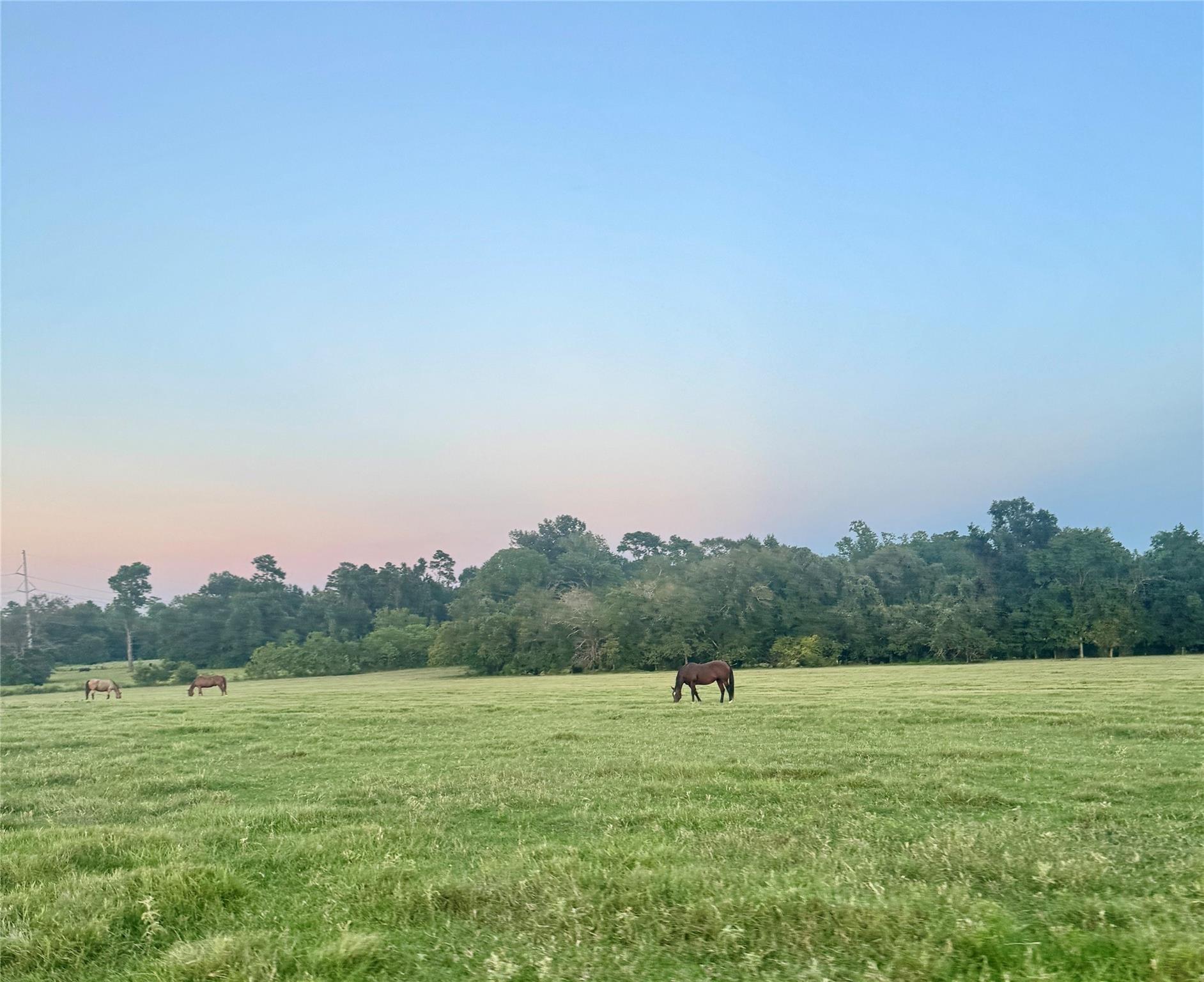 100 ACRES Spring Branch Road