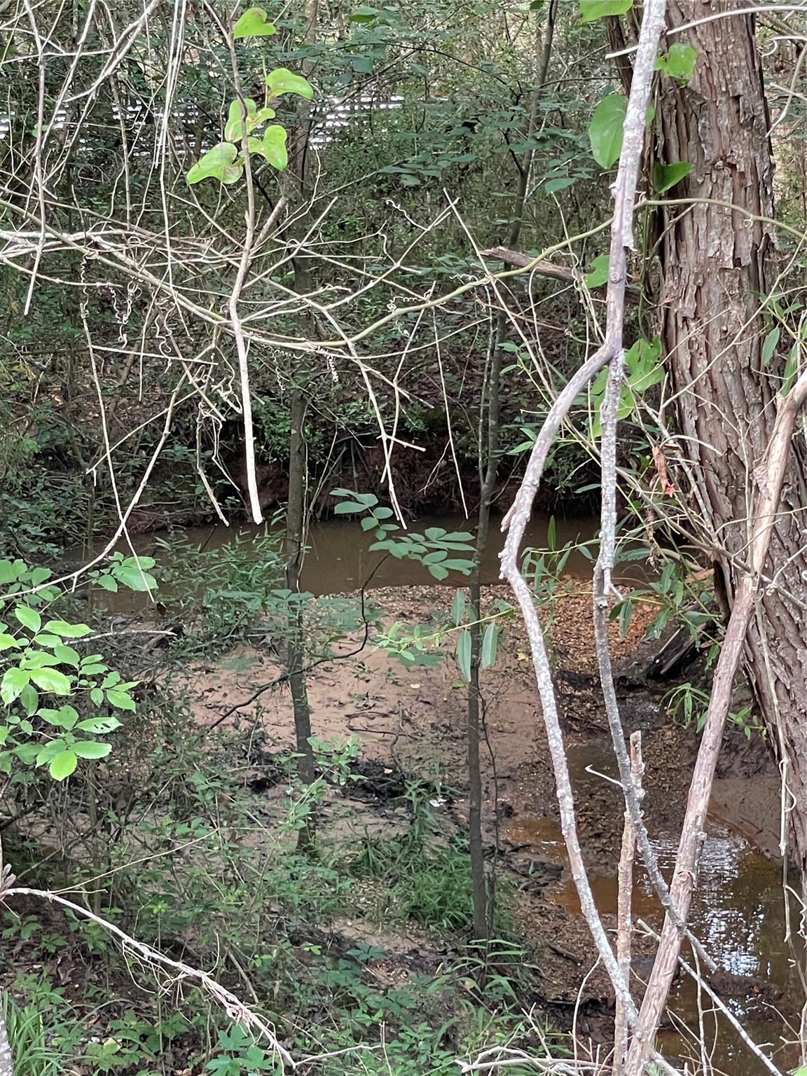 TBD County Road 114 Tbd