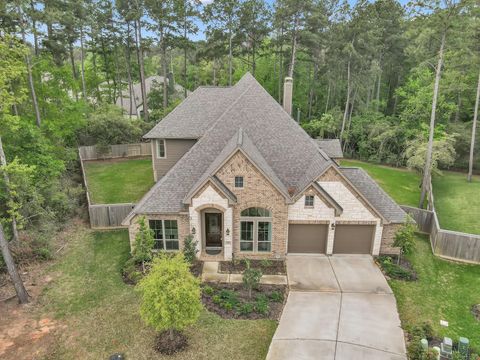 402 Changing Tide Court Willis TX 77318