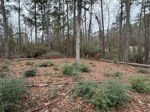 Photo of TBD County, Goodrich, TX 77335 (MLS # 48614966)