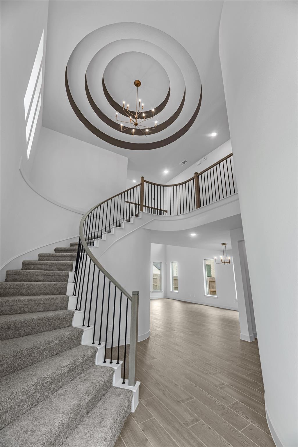 24954 Vervain Meadow Trail