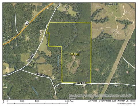 Photo of 1 County Road 2088, Burkeville, TX 75932 (MLS # 93288818)