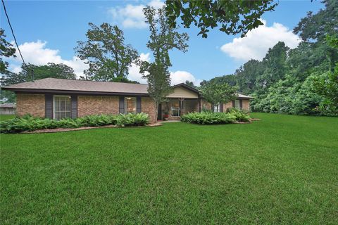 Photo of 51 Corrigan Avenue, Shepherd, TX 77371 (MLS # 9574324)