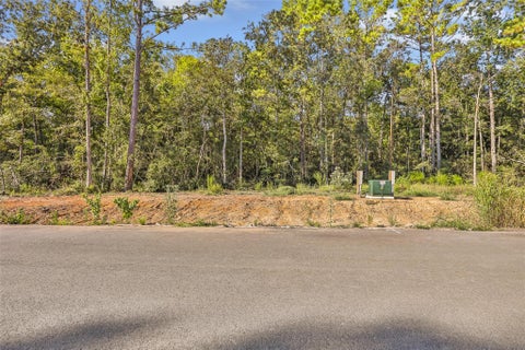 Vacant Land For Sale - 234 Kings Court<br/> Dayton, TX 77535