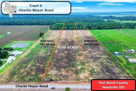 Photo of 2 Charlie Meyer Road, Damon, TX 77430 (MLS # 62061761)