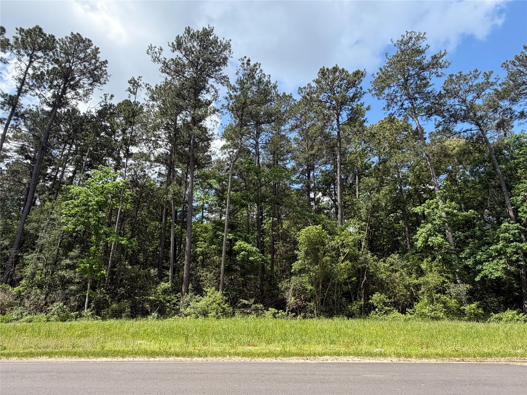 15744 Ridge Oak Road