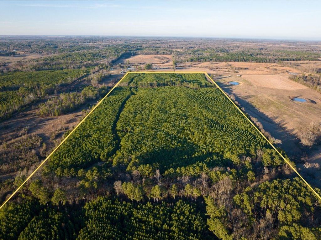 Photo of 7 Cr 4415, Annona, TX 75559 (MLS # 21287112)