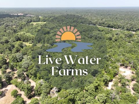 Vacant Land For Sale - S2L3 Lake Pool Rd<br/> Shepherd, TX 77371
