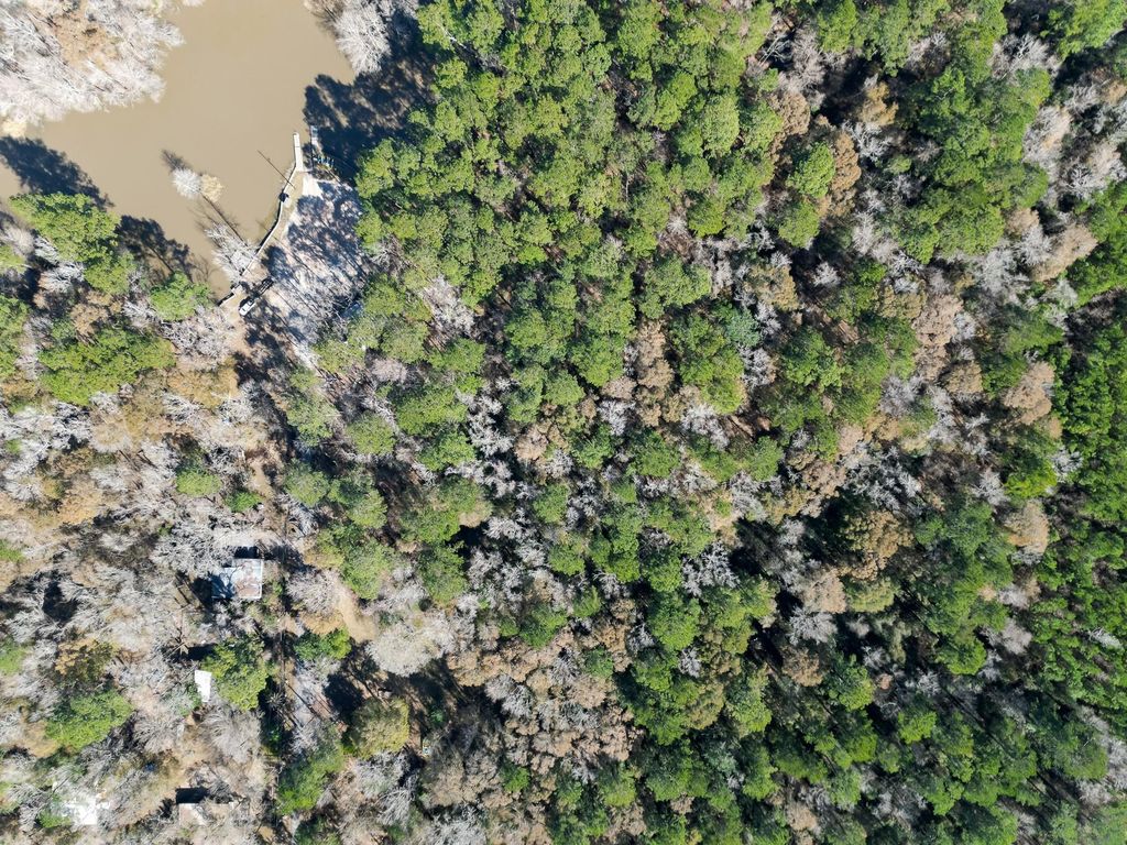 Photo of 0 Dunnam Road, Houston, TX 77345 (MLS # 40509877)