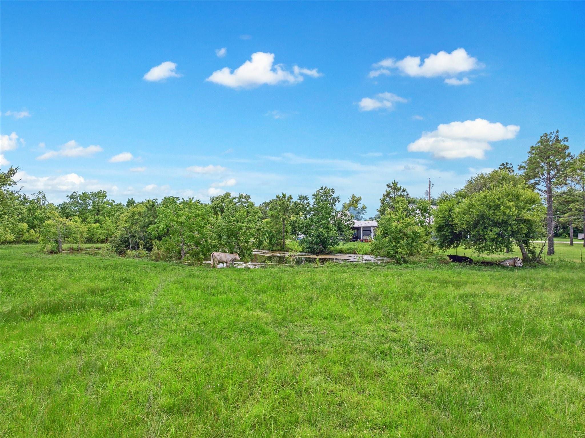 Lot 1 Avenue E