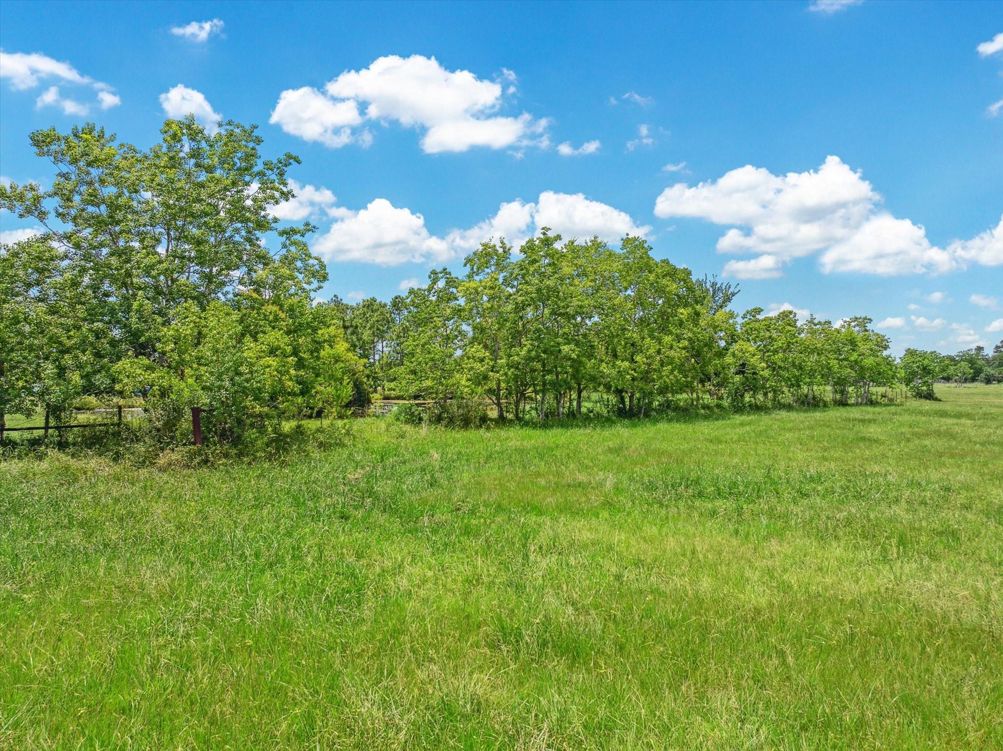 Lot 1 Avenue E