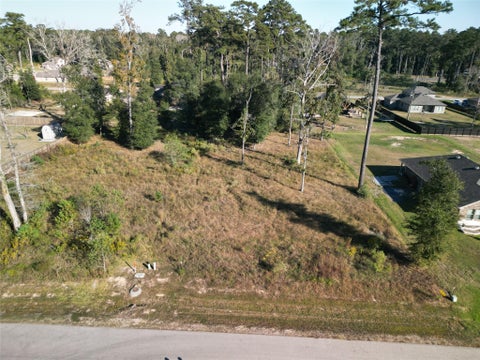Photo of 826 Forest View, New Caney, TX 77357 (MLS # 40422525)
