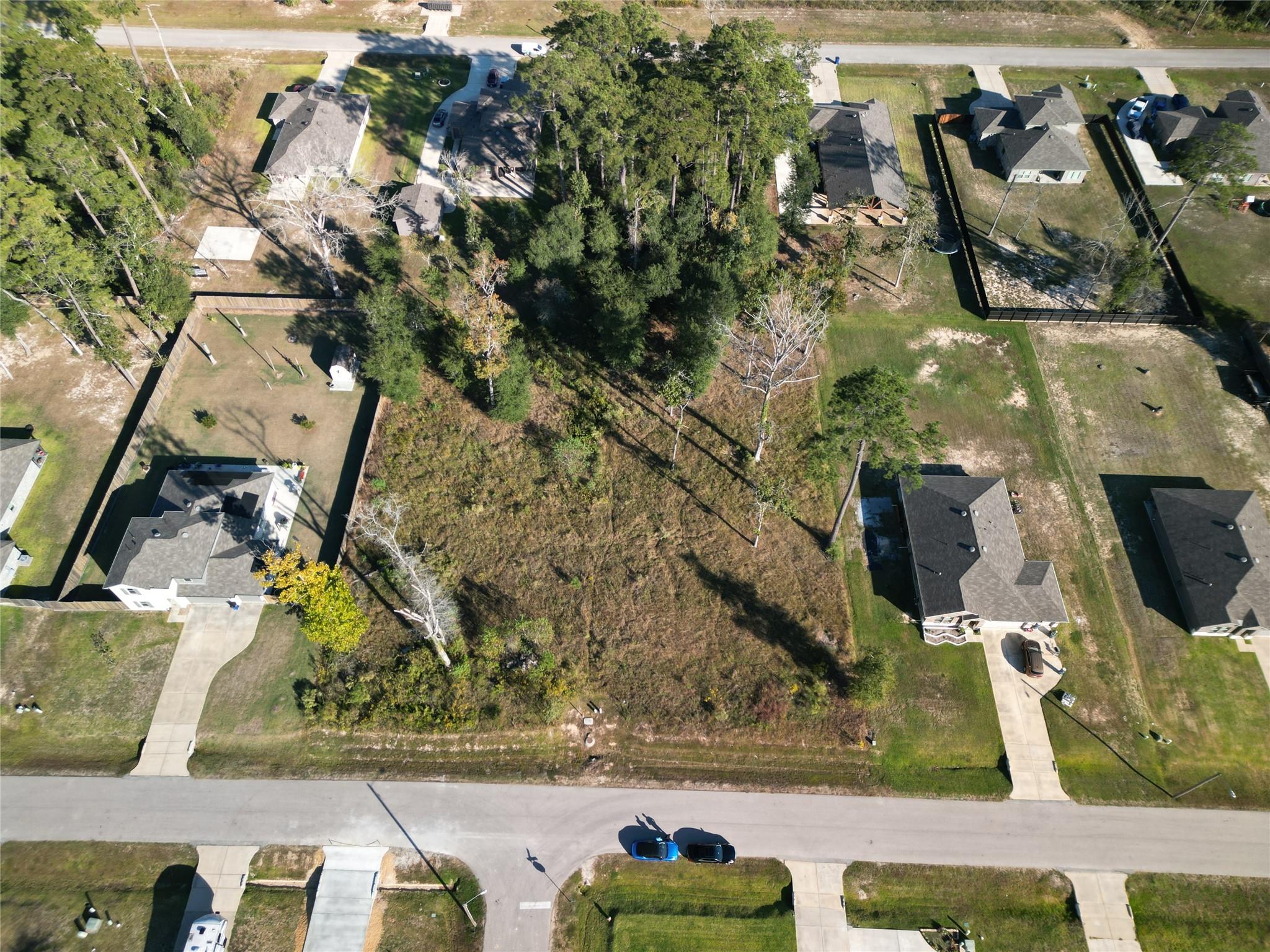 826 Forest View