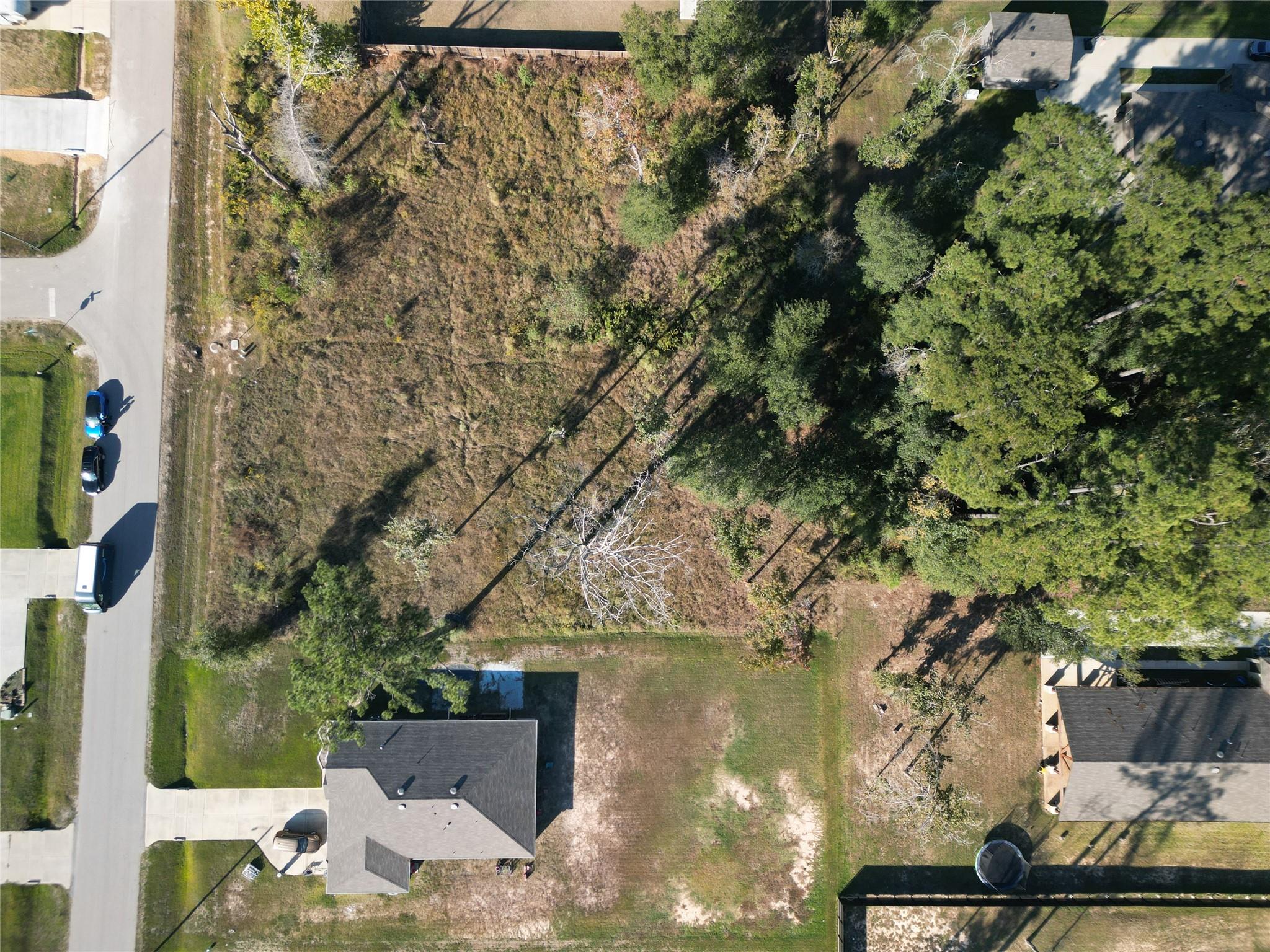 826 Forest View