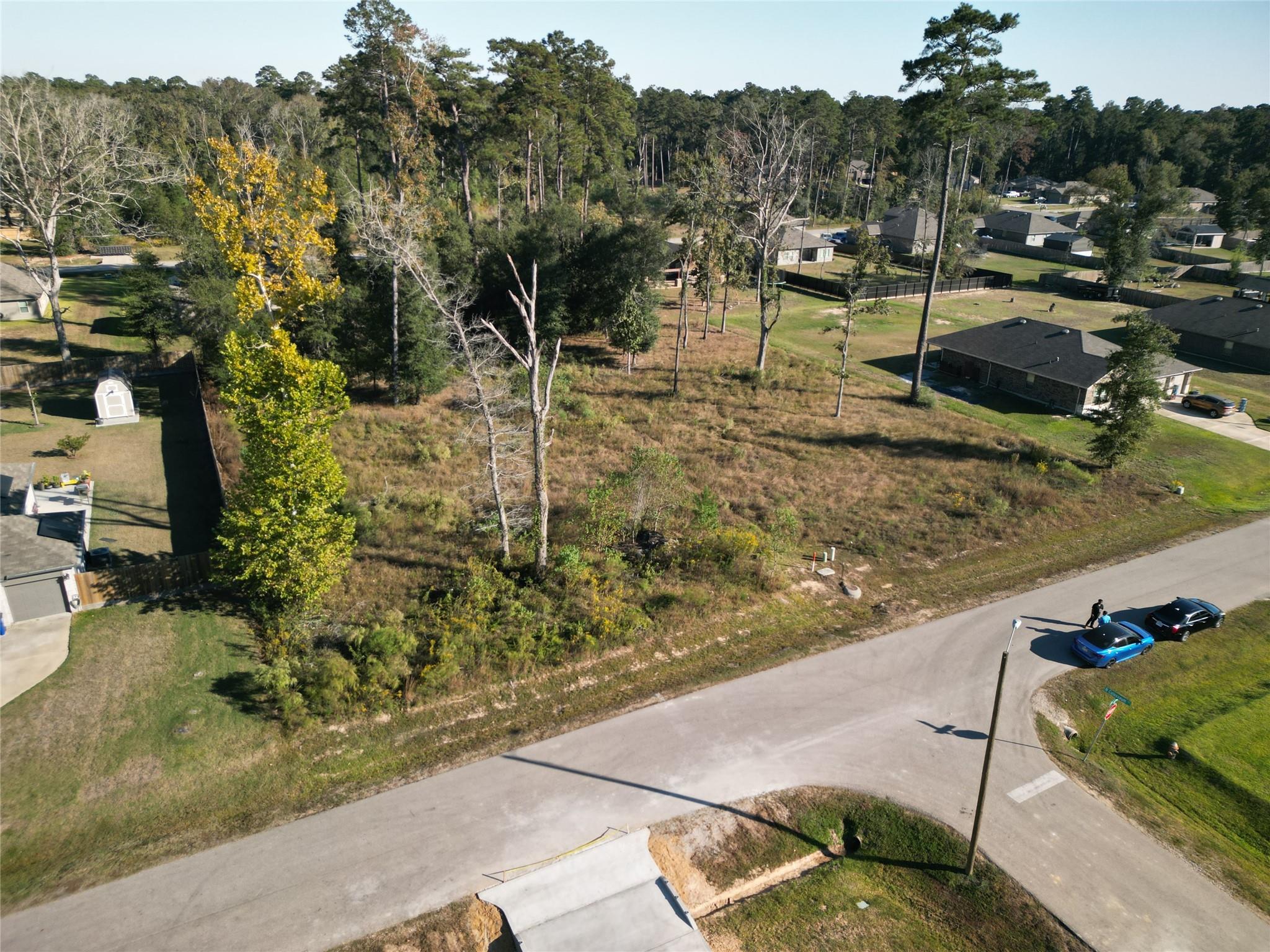 826 Forest View