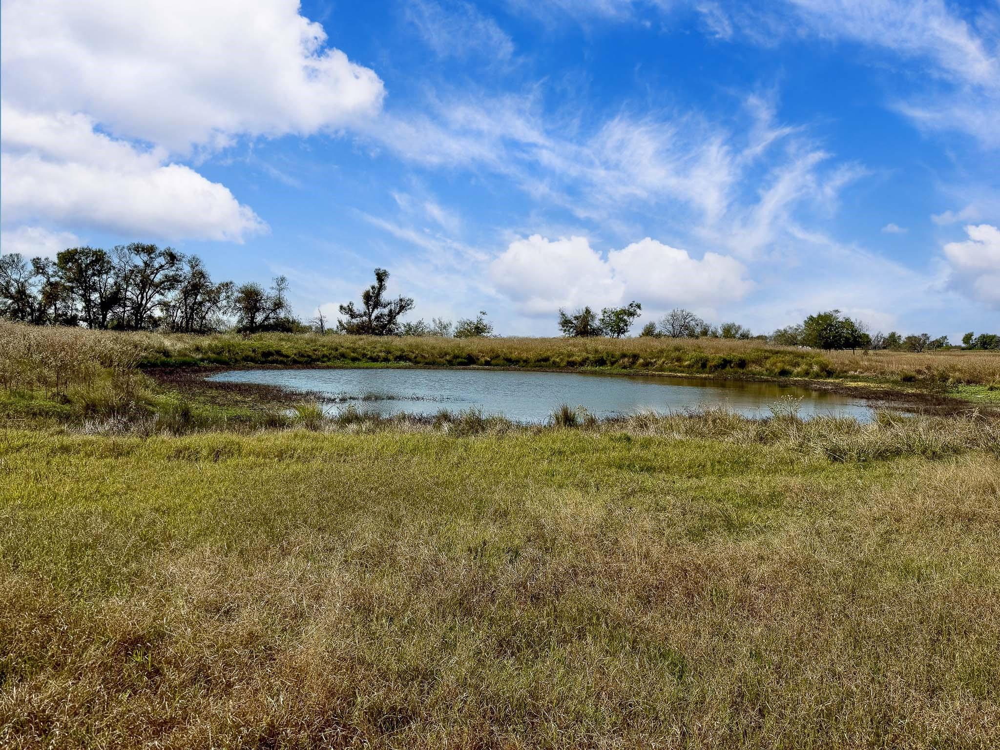 TBD Farm To Market 2745