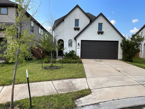 959 Malibu Shore Lane Katy TX 77493