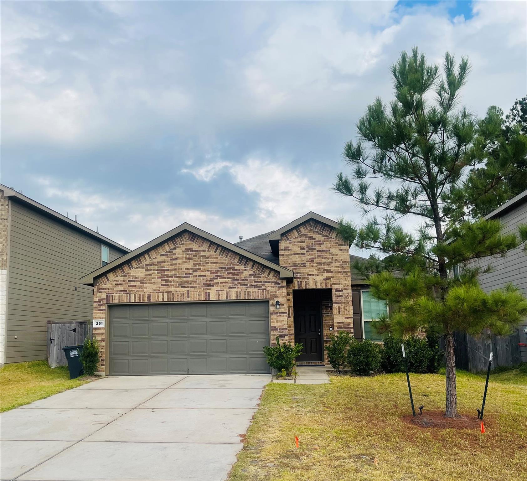 251 Pine Cavern Drive