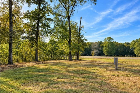 Photo of 171 Terlingua, Livingston, TX 77351 (MLS # 13602915)