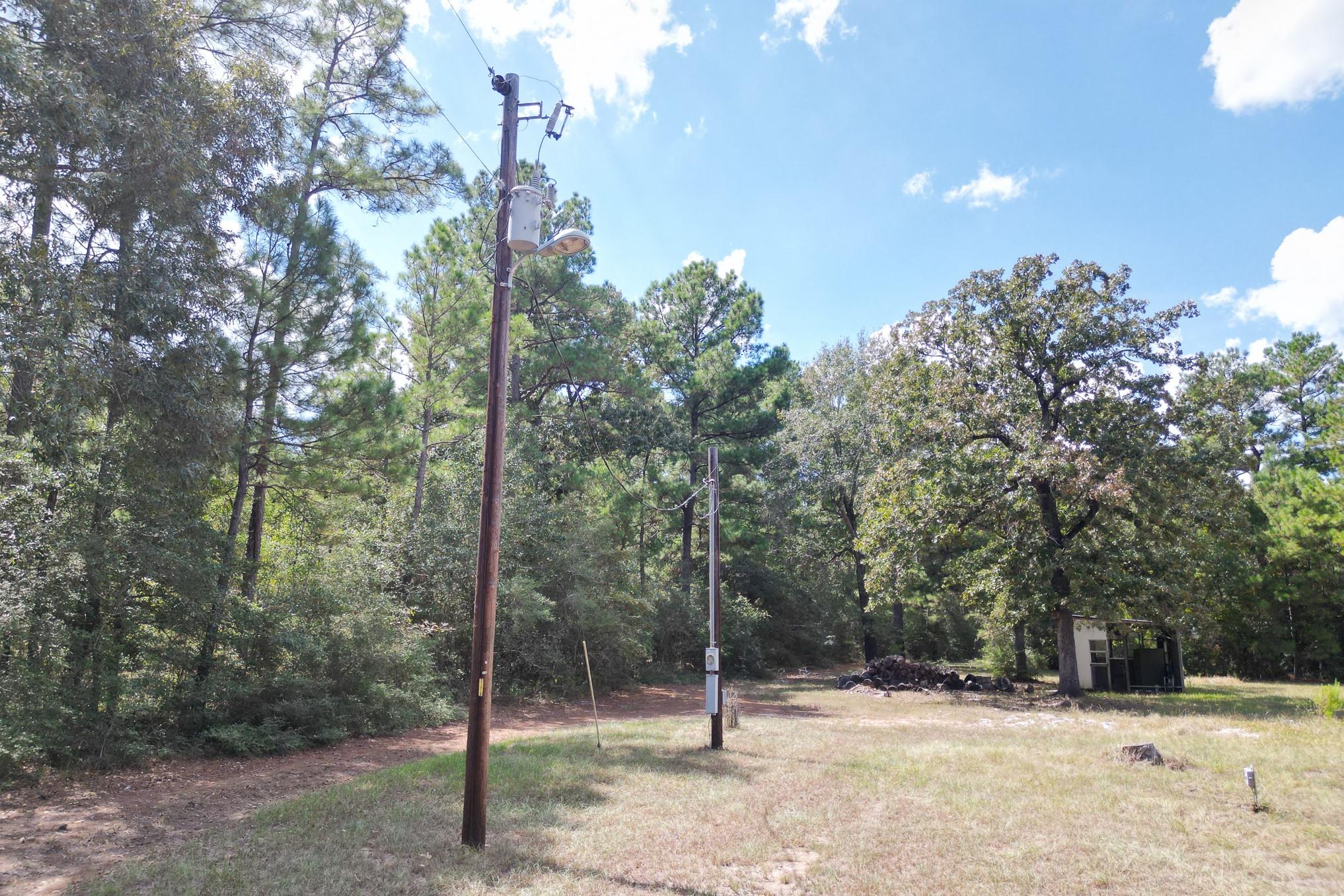 7 Pine Trail