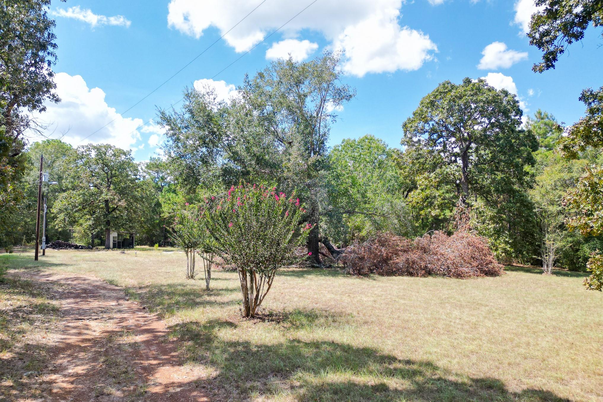 7 Pine Trail