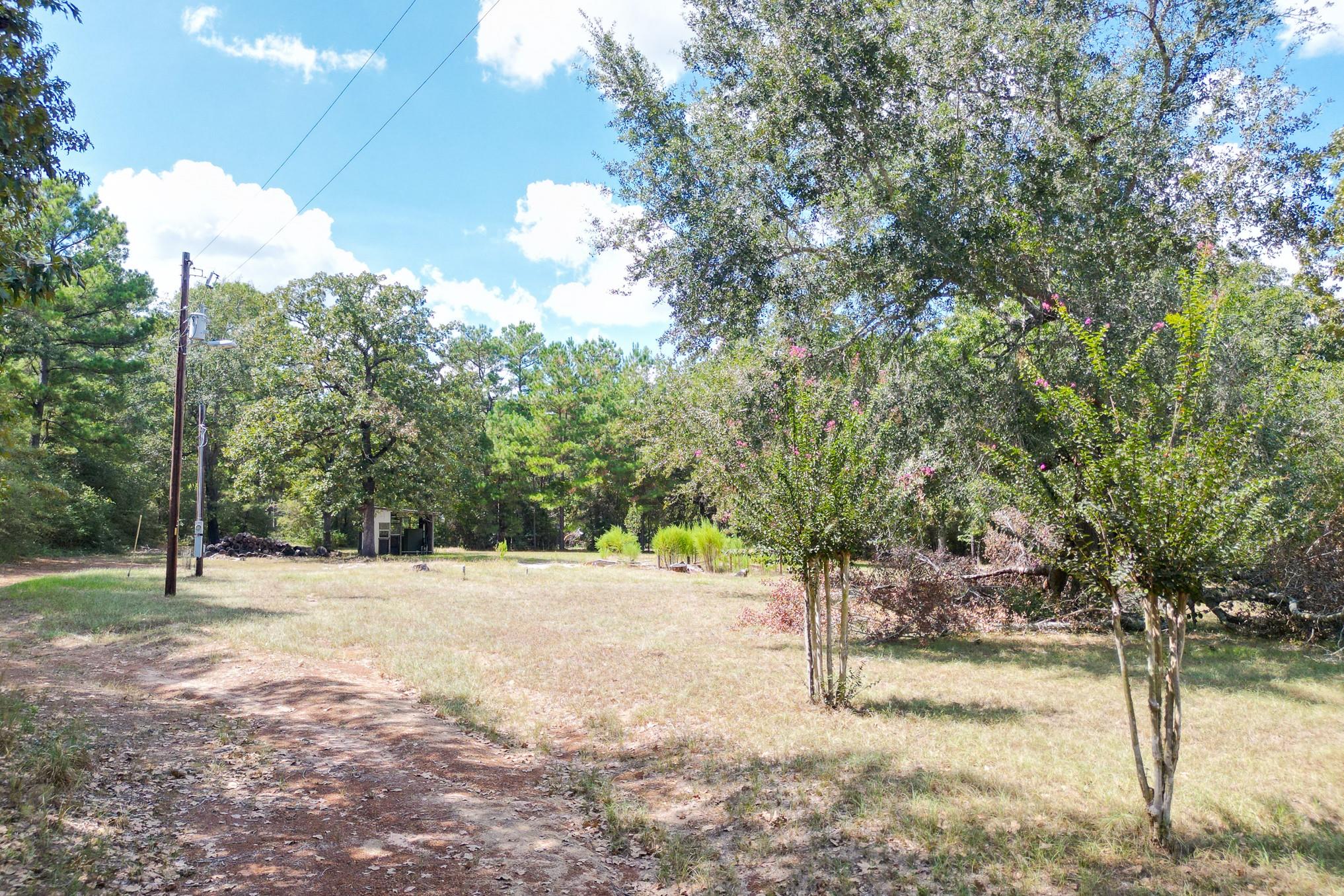 7 Pine Trail