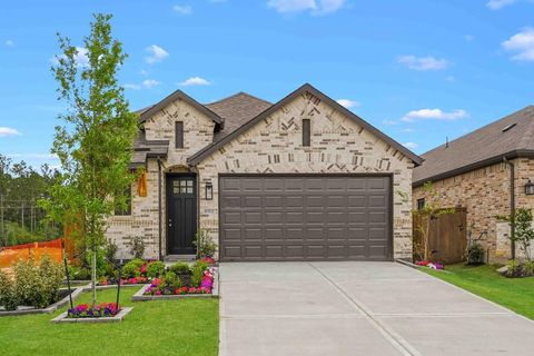 Homes For Sale - 8752 Mancos Valley Court<br/> Porter, TX 77365