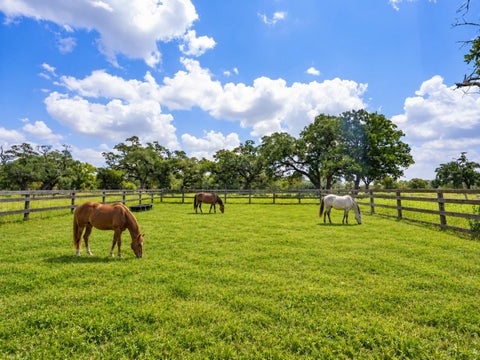 Photo of 2751 Fm 2434, Columbus, TX 78962 (MLS # 91381403)
