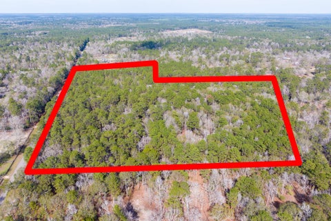 Photo of 6698 Pine Shadows Road, Cleveland, TX 77328 (MLS # 82446548)