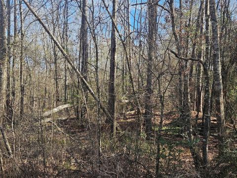 Vacant Land For Sale - Red Road<br/> Shepherd, TX 77371