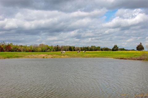 Photo of 3882 Webb Cemetary Road, Calvert, TX 77837 (MLS # 71976035)