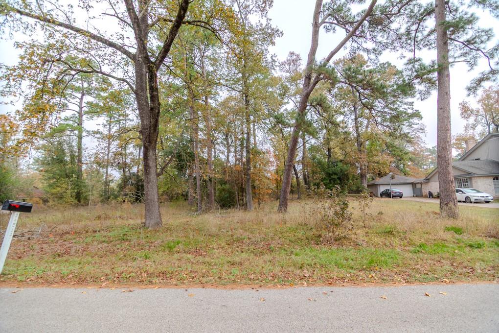 Photo 1 of 10 — 24510 Pine Canyon Dr, Spring, TX 77380