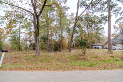 Vacant Land For Sale - 24510 Pine Canyon Dr<br/> Spring, TX 77380