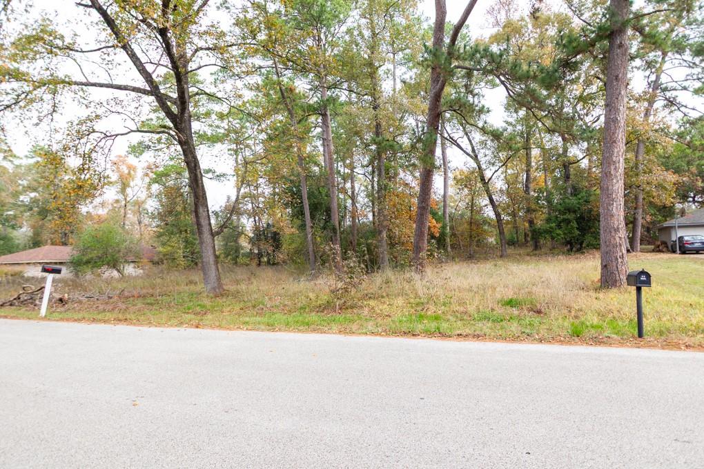 24510 Pine Canyon Dr