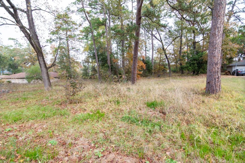 24510 Pine Canyon Dr