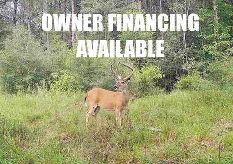 Photo of TBD State Hwy 87, Bleakwood, TX 75956 (MLS # 97770286)