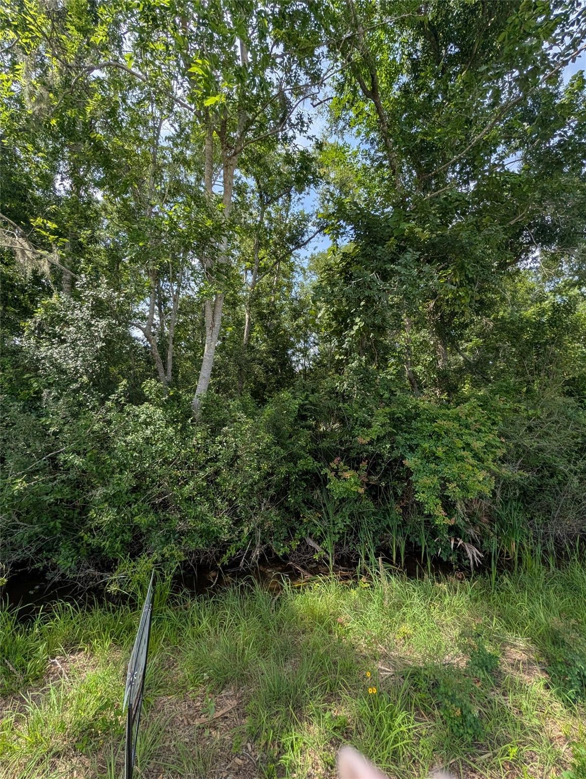 000 Oak Forest Street