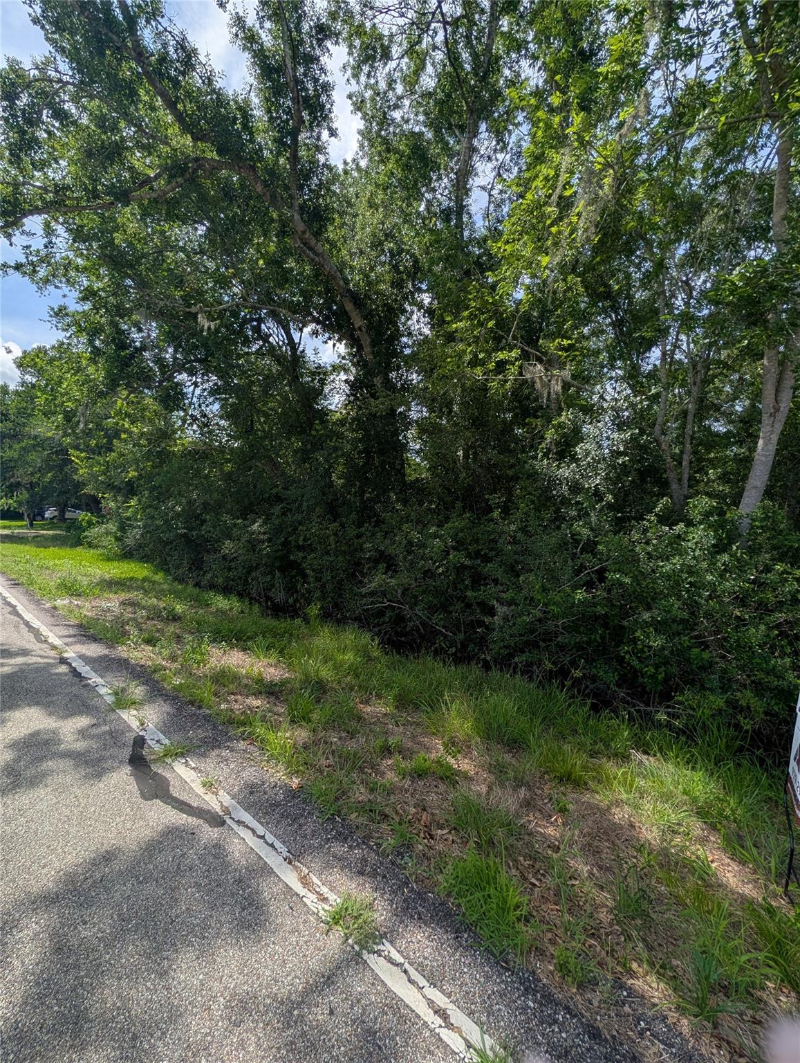 000 Oak Forest Street