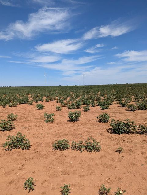 Photo of 0 Round Top Road, Snyder, TX 79549 (MLS # 60510995)