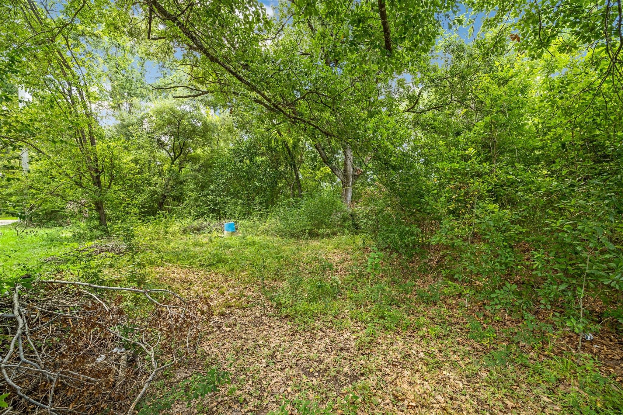 616 Spring Cypress Road