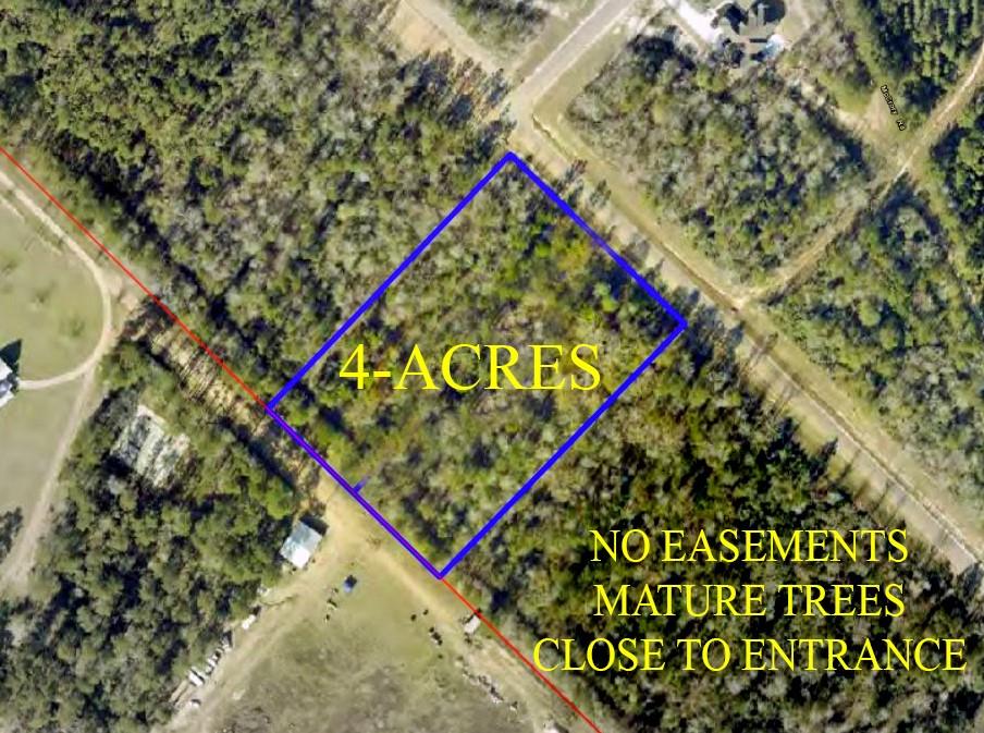 11646 Grand North Road