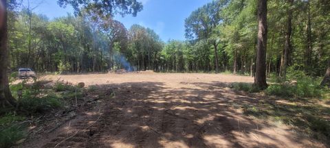 Photo of TBD Buck Creek Road, Shepherd, TX 77371 (MLS # 98115439)