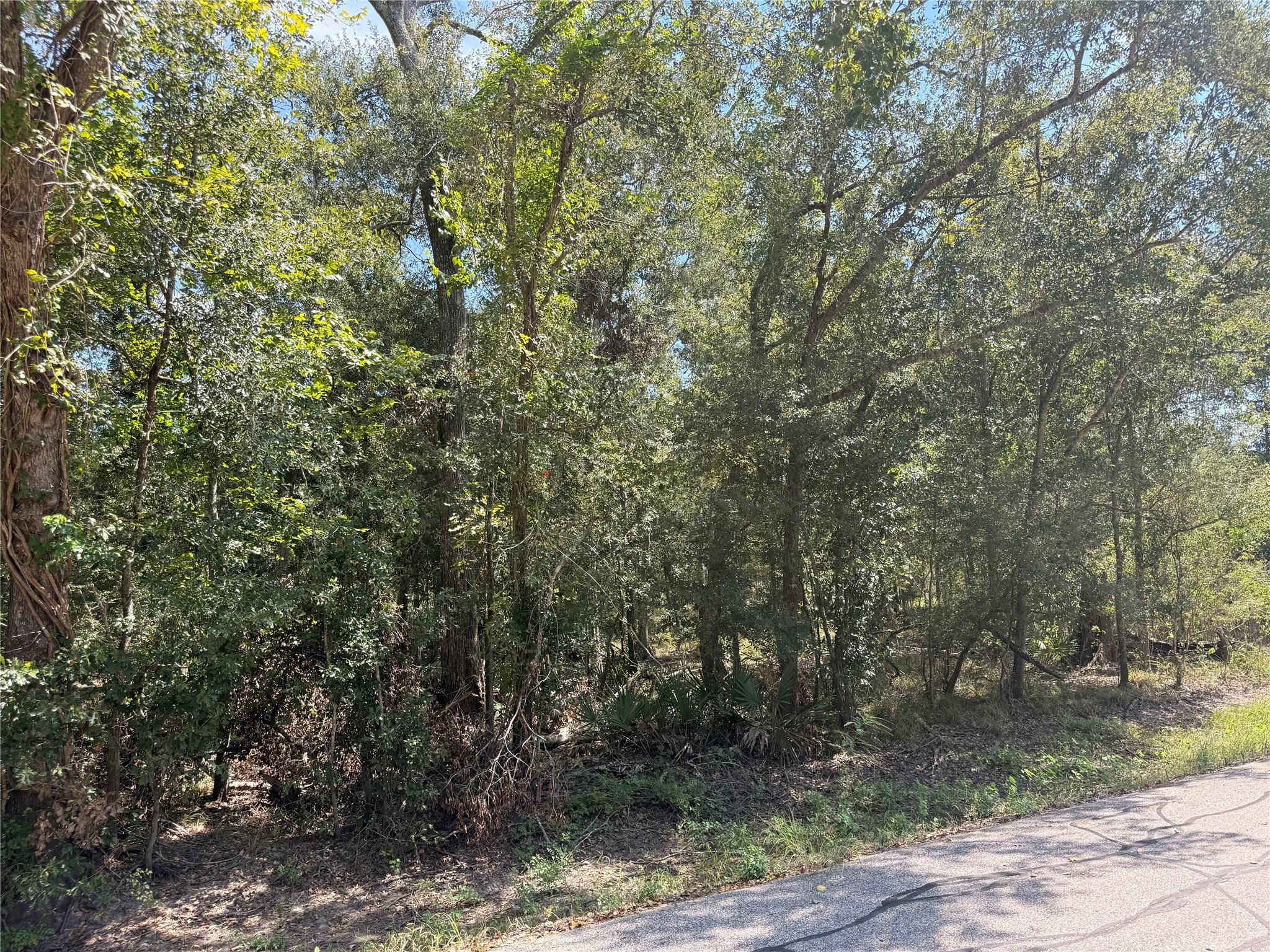 20687 Live Oak Drive