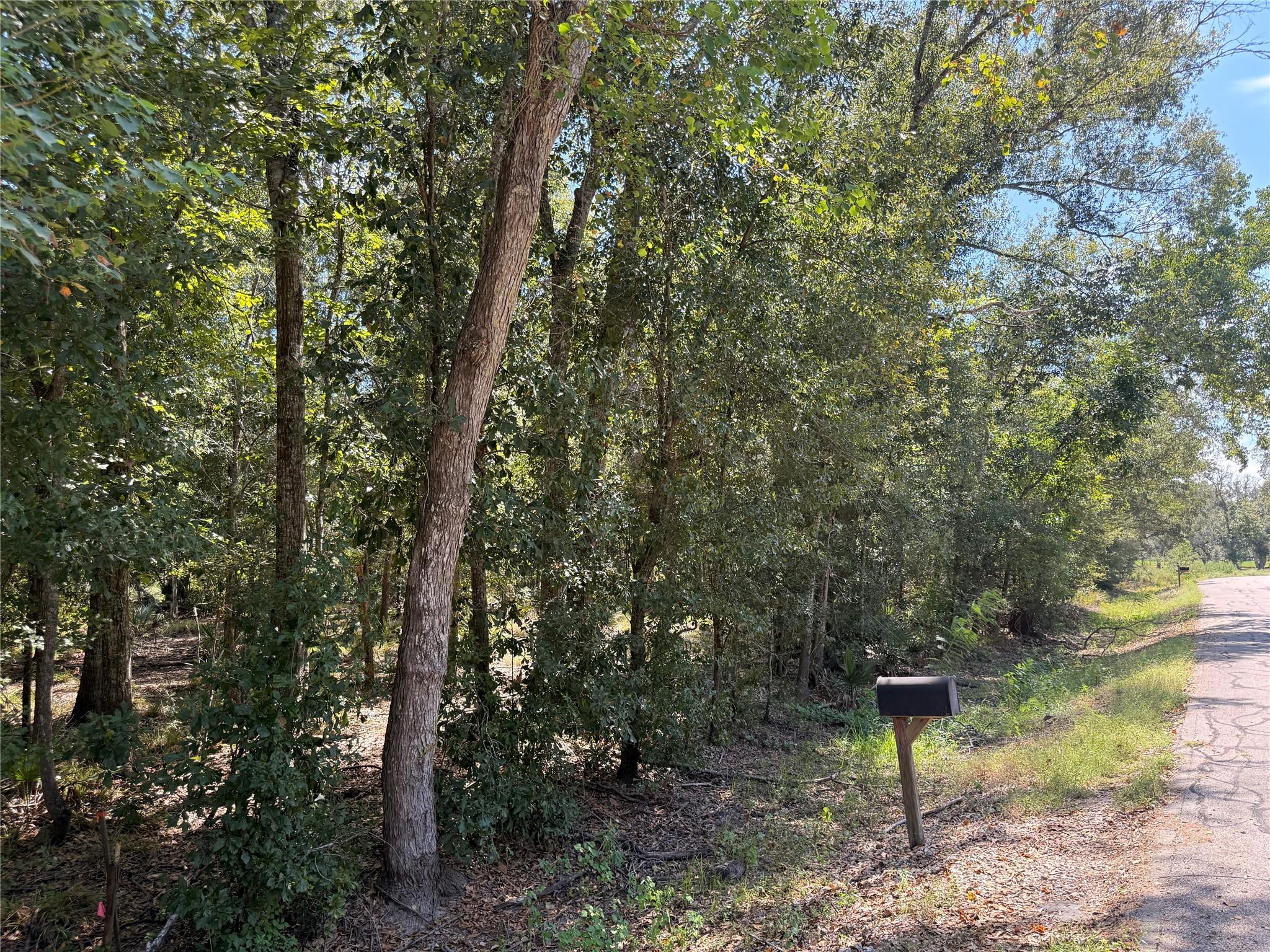 20687 Live Oak Drive