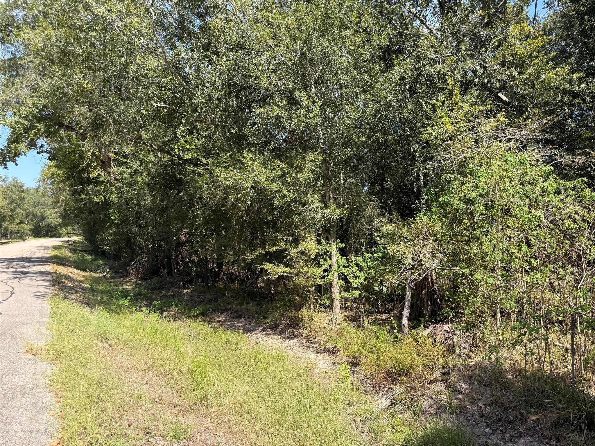 20687 Live Oak Drive