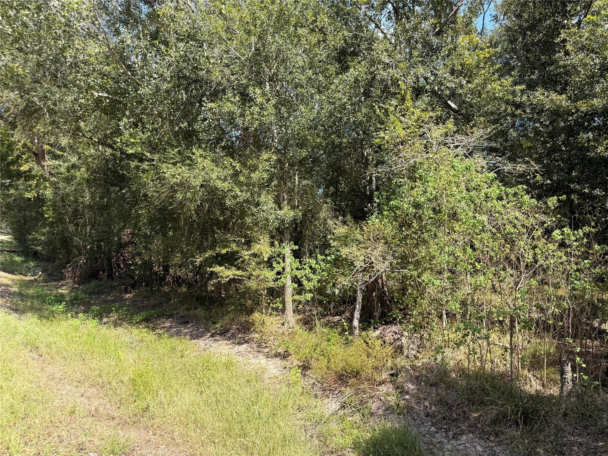 20687 Live Oak Drive