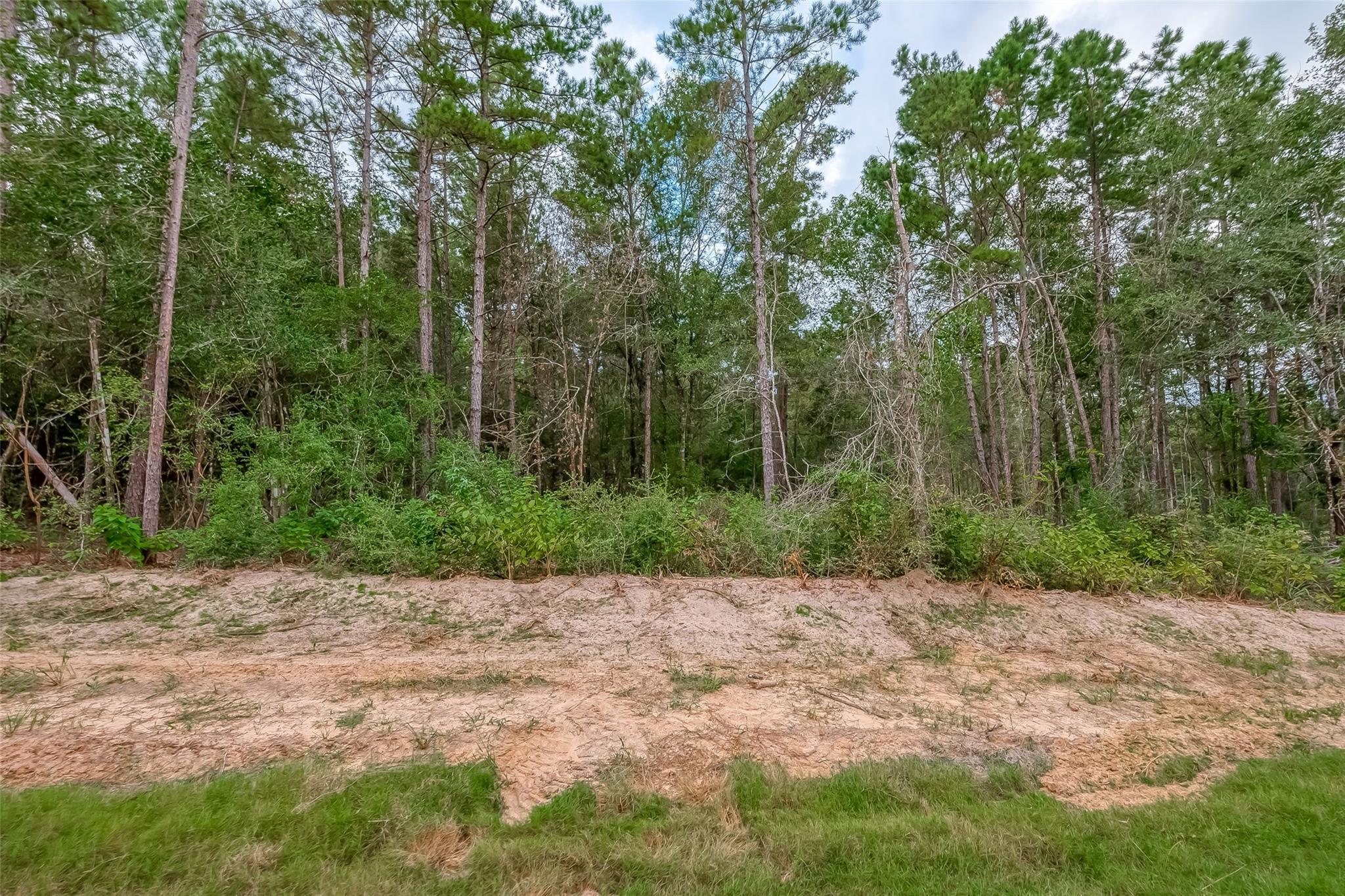 8100 High Meadow Ridge Court