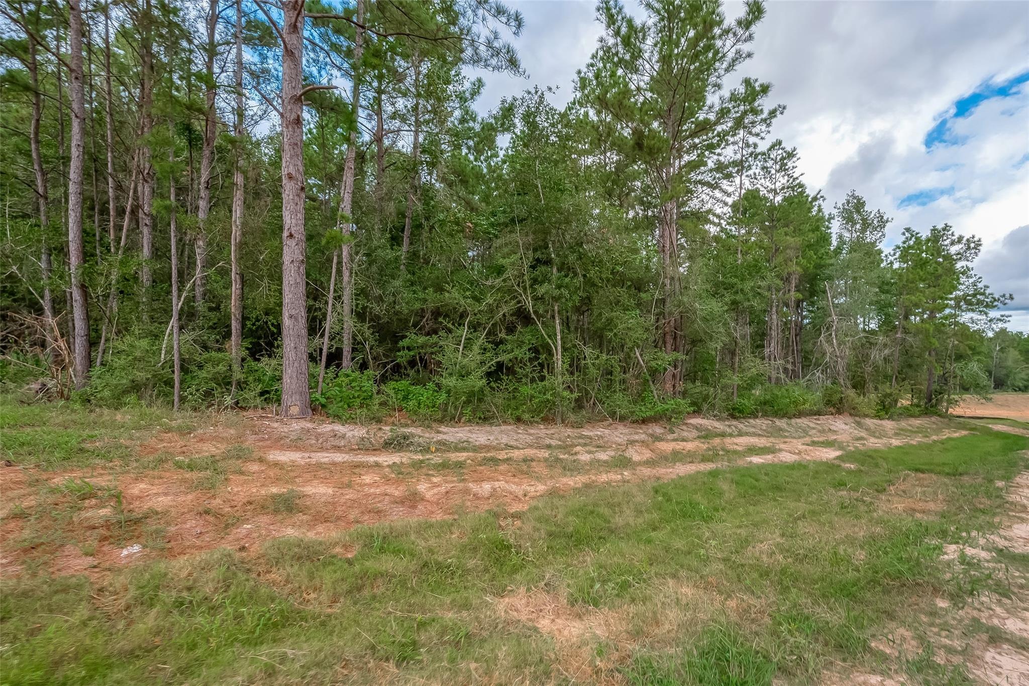 8100 High Meadow Ridge Court