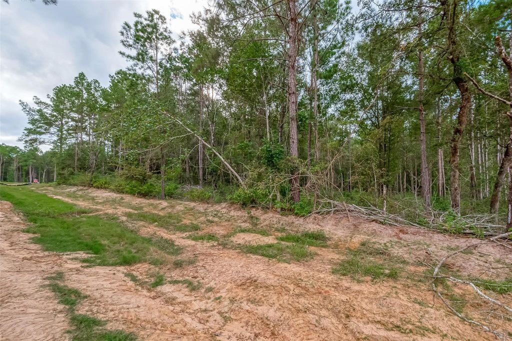 Photo of 8100 High Meadow Ridge Court, Montgomery, TX 77316 (MLS # 86487979)